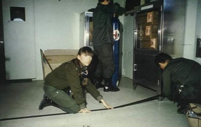 0037531408