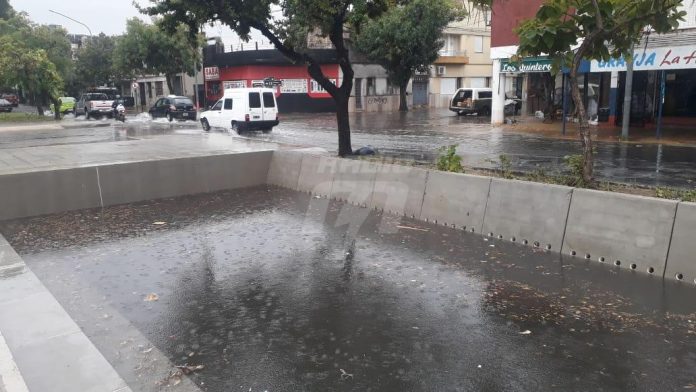 Avenida Freyre
