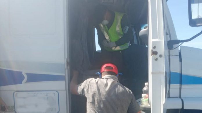 Operativo-Gendarmería-en-Gato-Colorado-ruta-95