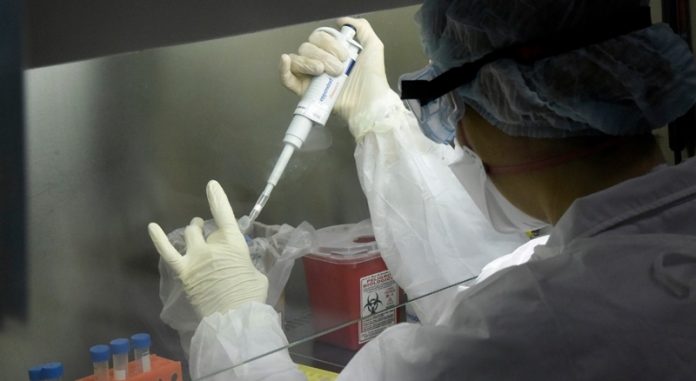 coronavirus coronavirus