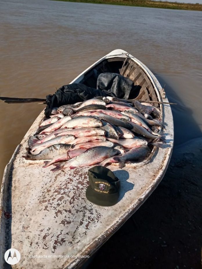 Decomiso Pescado - Saladero