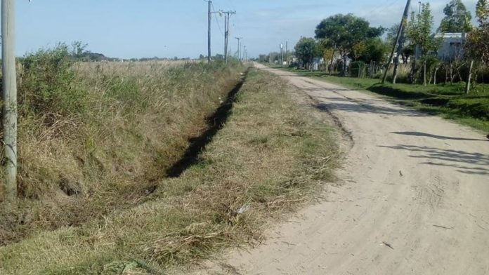 Dengue Prevención