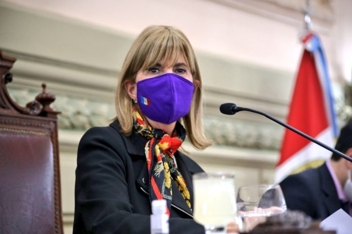 Alejandra Rodenas Senado