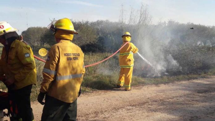 Incendios-de-pasto-Bomberos-Tostado