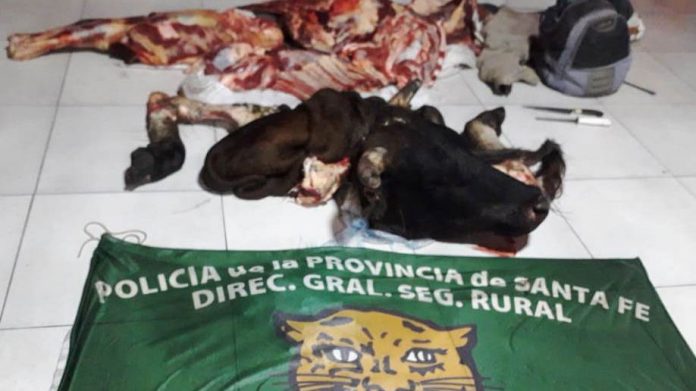 Los-Pumas-Tostado-esclarecen-hecho