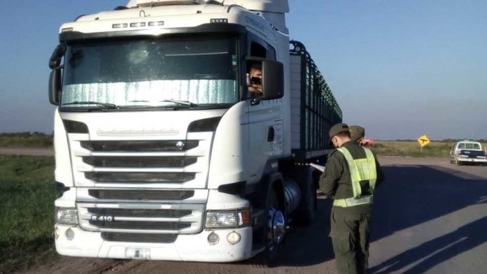 Transporte-Senasa-2