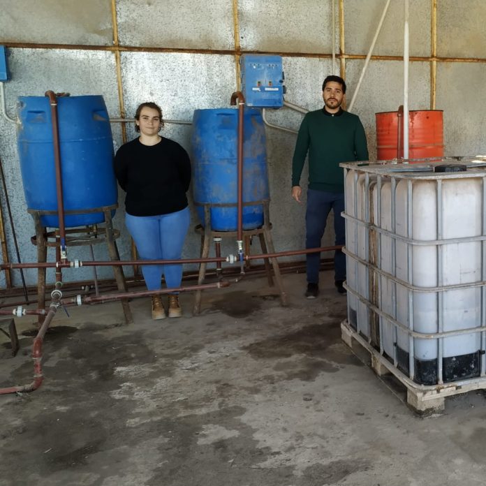 aceite vegetales