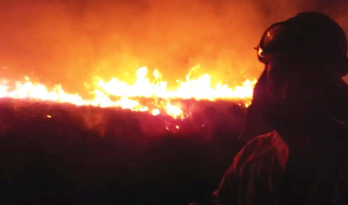 incendio selva