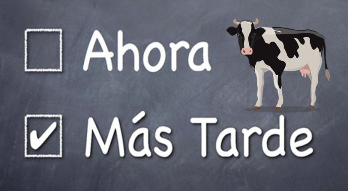 vvaca
