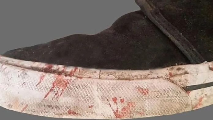 zapatilla