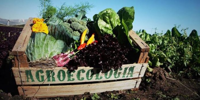El-mundo-del-reves-no-da-para-mas-La-Soberania-Alimentaria-como-respuesta_full