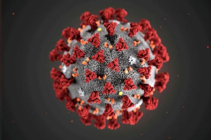 coronavirus