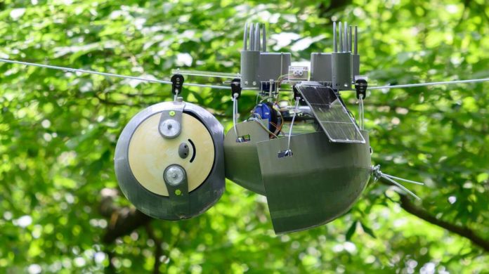slothbot-17