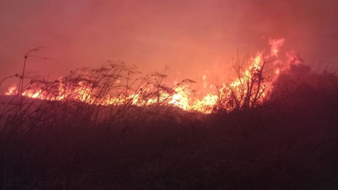 Incendios