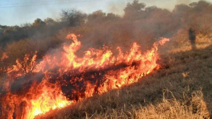 incendios-rurales