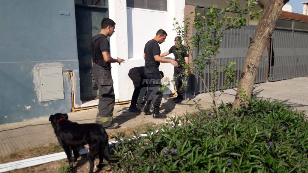 Bomberos trabajaron para rescatar a cuatro cachorros