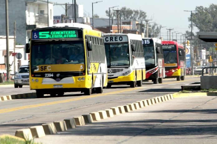 233988_colectivo