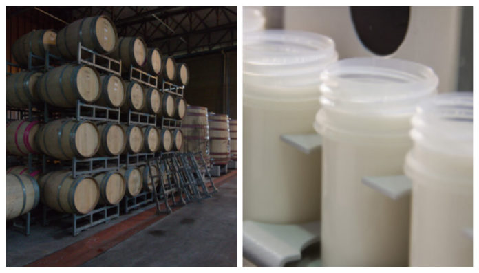 INTI-Proeyctos-Lacteo-Vinos