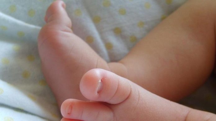 pies-de-bebex_1_crop1602169476985.jpg_1756841869