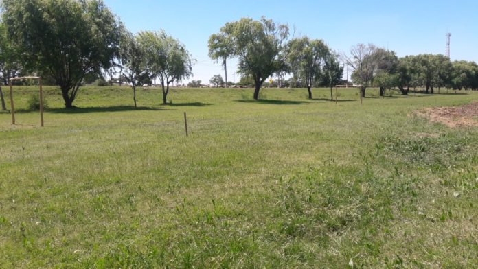 Saladero Predio