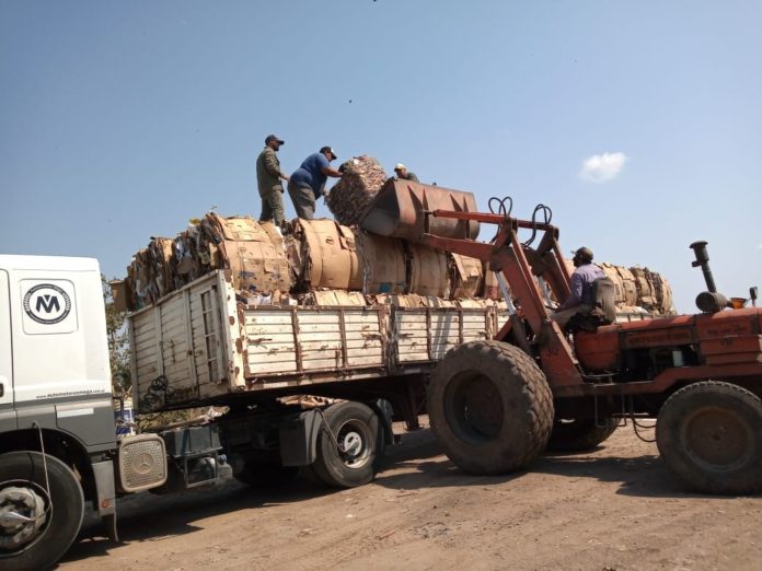 carga carton