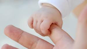 Adopción