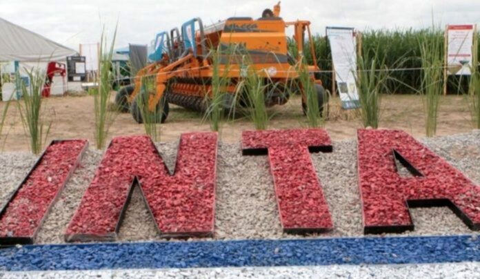 inta