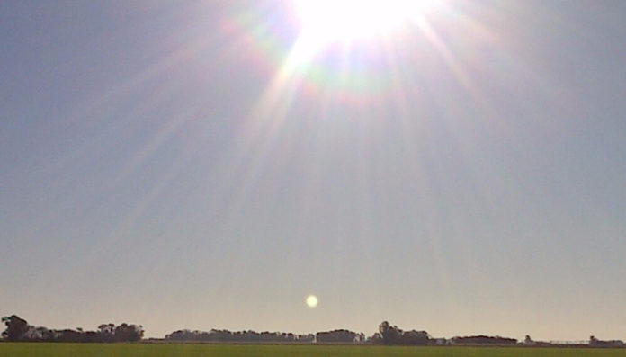 Dia-calido-Sol-Trigo-Clima