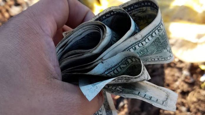 DOLAR BASURA