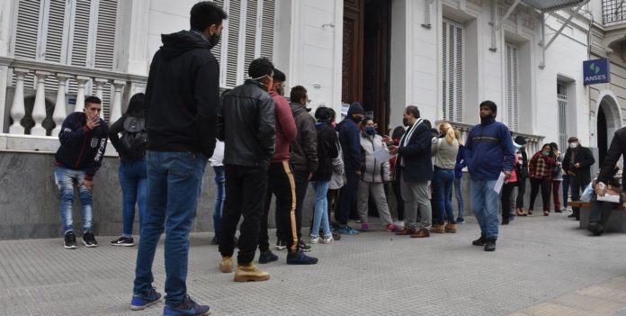 anses