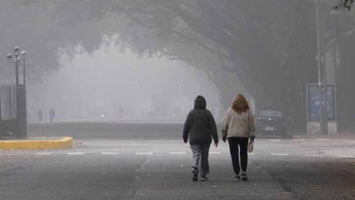 HUMO ROSARIO