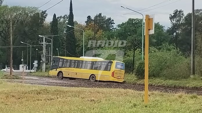 Colectivo