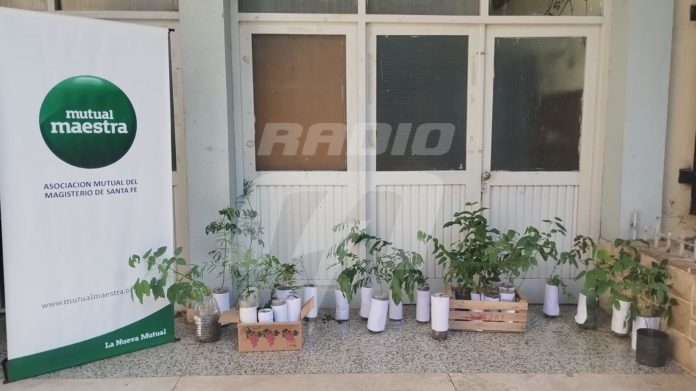 CAMPAÑA DE FORESTACION EN ESCUELAS