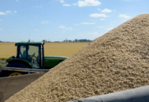 Se demora la publicación en el Boletín Oficial de la baja de retenciones