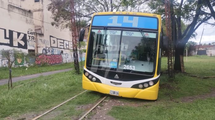 COLECTIVO