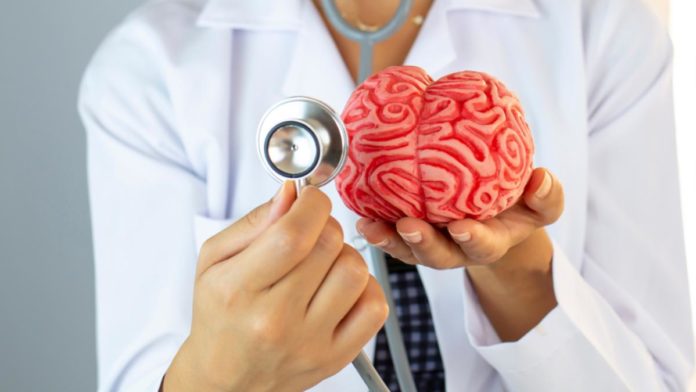 Doctor,Hand,Holding,Brain,.,The,Importance,Of,Early,Diagnosis