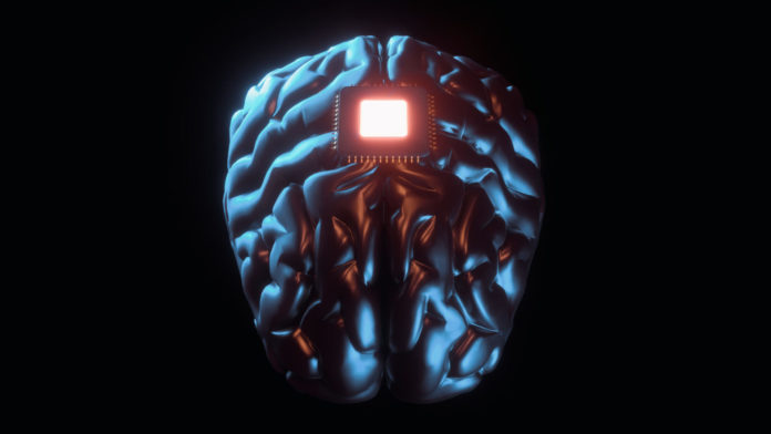 CHIP CEREBRAL