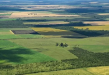 La Corte revocó el fallo que declaraba inconstitucional la derogación de la Ley de Tierras