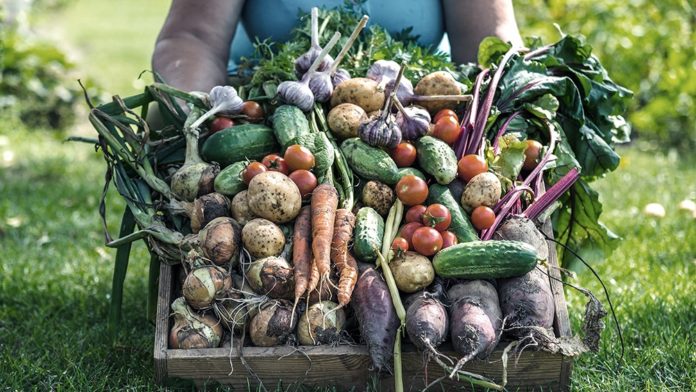 VERDURAS