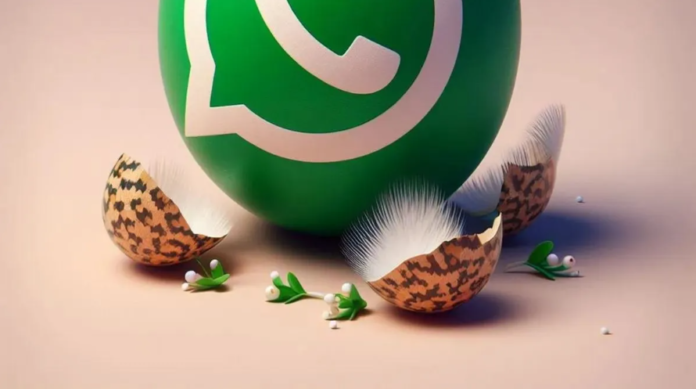 WHATSAPP PASCUA