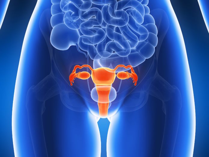 cancer de utero