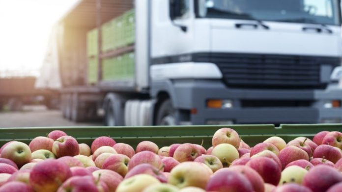 CADENAS PRODUCTIVAS ALIMENTOS