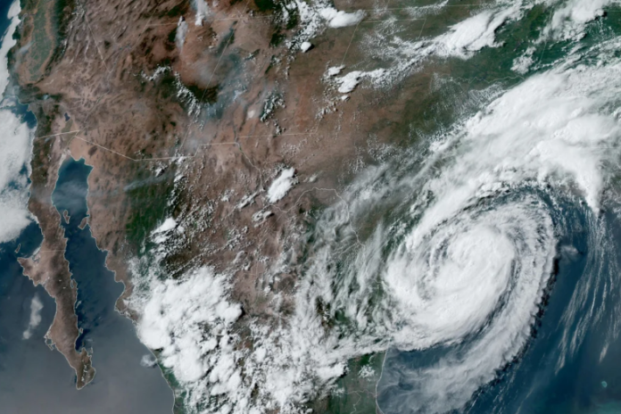 TEXAS BERYL