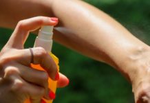 Dengue en Santa Fe: refuerzan la prevención ante la llegada del verano