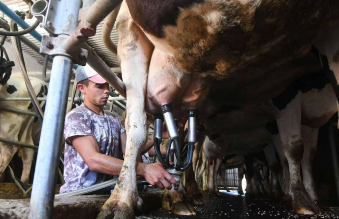 LACTEOS LECHE