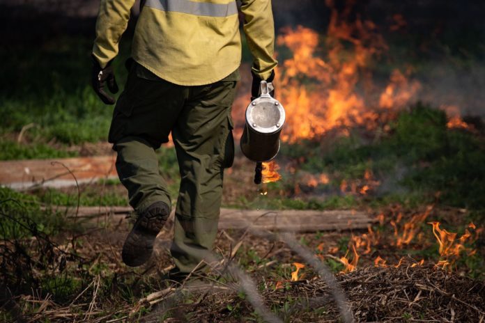 BOMBEROS
