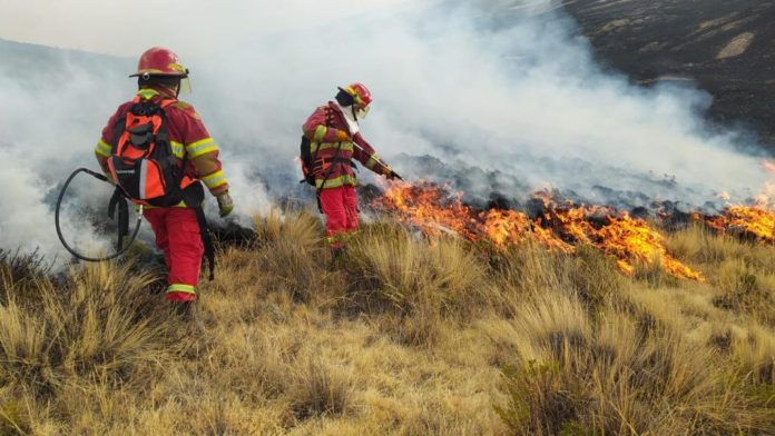 BomberosForestales_3