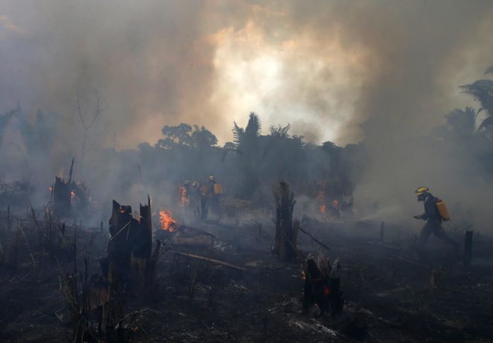 INCENDIOS BRASIL