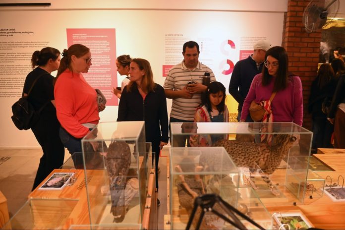 NOCHE DE LOS MUSEOS