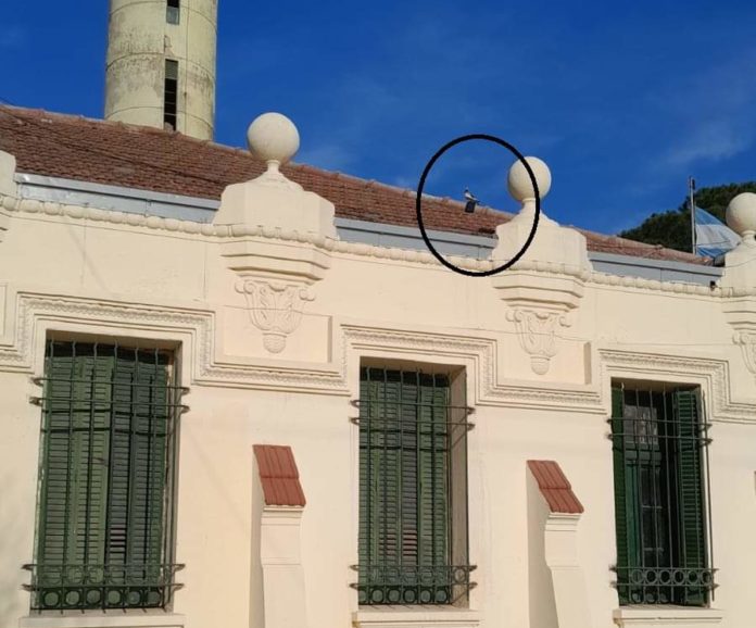 CORONDA